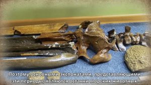 Экспозиция Флора и фауна Северо-Западного Кавказа (Геология С-З Кавказа)