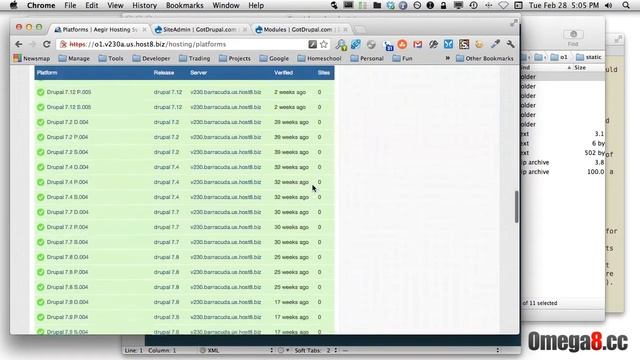 Drupal Tutorial - Aegir on Omega 8 - Making a Platform
