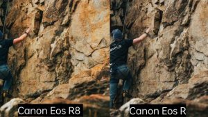 Canon Eos R8 vs Canon Eos R camera test