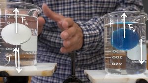 Explained: Beaker Ball Balance Problem
