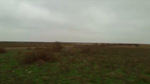 Охота на утку, гуся. Новые места