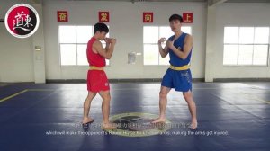 Базовая техника Ушу-саньда. Урок 14. Основы защиты. Часть 1