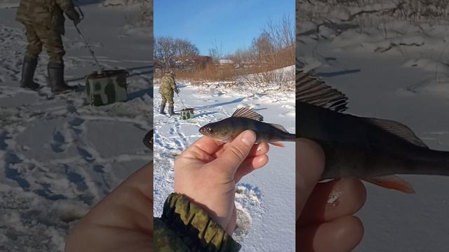 зимняя рыбалка на мормышку🕳️🎣🪣 Бобруйск судоремонтный затон