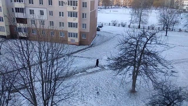 Любимое смузи детей. Что на обед и ужин. Котлеты из фасоли.