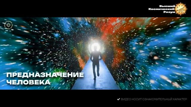 #БлагоВест ✴ Предназначение человека