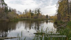 Осень в парке Оловянникова. Без комментариев