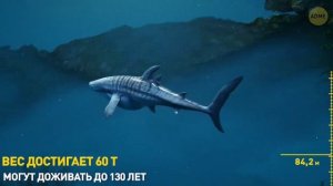 Марианская впадина (Марианский желоб)