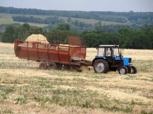 Tractor MTZ-82.1 with pickupTP-F-45 /// Трактор МТЗ-82.1 с подборщиком ТП-Ф-45 на подборе соломы