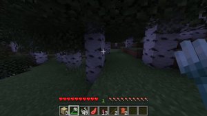 MINECRAFT/REKER VA LIDER DRAGON WARDENGA QARSHI/UZBEKCHA VIDEO