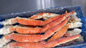 Гигантский Камчатский краб