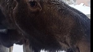 встреча друзей, спустя 23 года. Кострома-Волгоград