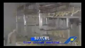 Линия убоя птицы