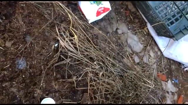 Настоящее молоко "Первый вкус". смотреть онлайн