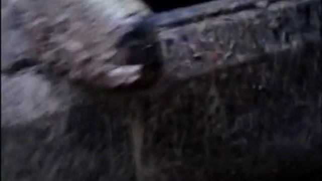 На рыбалку на Geely MK смотреть онлайн