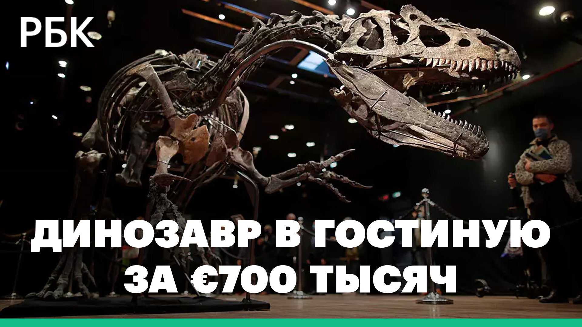 В Париже продали скелет камптозавра возрастом 150 млн лет. Почему его называют «динозавр из гостиной