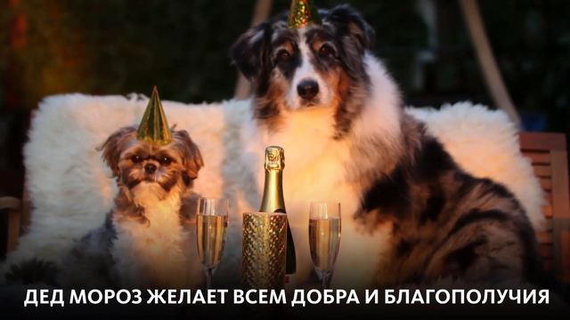 ЧТО ПИШУТ ДЕДУ МОРОЗУ?
