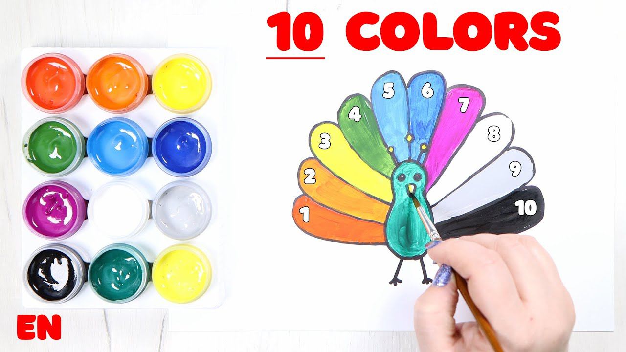 Learning colours. TOP 10 basic colours. Colours of rainbow