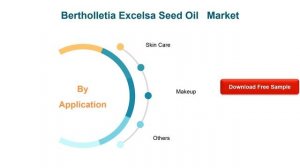 Bertholletia Excelsa Seed Oil Market Outlook 2021