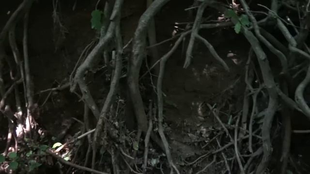 Золото в ''Кармане''... Удачный День! смотреть онлайн