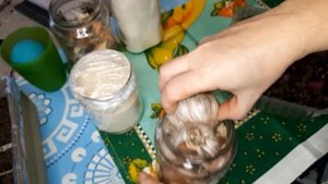 Сушка чеснока в духовке с конвекцией #2Как ХРАНИТСЯ СУШЕННЫЙ ЧЕСНОК Посадите проросший ЛУК на ЗЕЛЕН