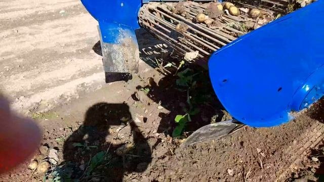 Копаю картошку с двухрядной копалкой.