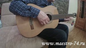 Классическая гитара Strunal Cremona 977
