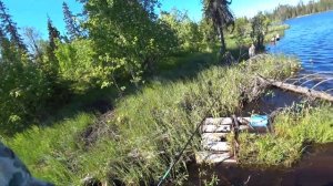 Рыбалка на озере Щучье. Ловля щуки и окуня. Ночь под тентом.