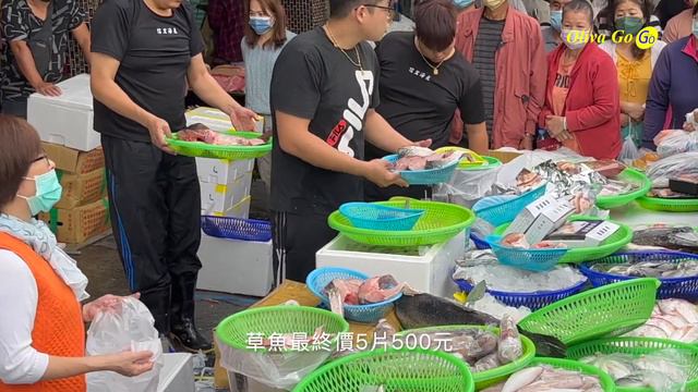 超大尾草魚大頭鰱整尾賣500元還沒人要！！老闆氣瘋了！生氣氣｜台中烏日市場｜中彰海王子｜海鮮拍賣