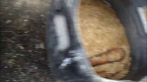 Свекле год Укладка моркови, свеклы на хранение Сельское подворье на Урале