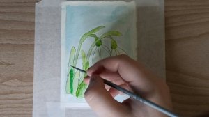 Первые цветы / Рисунок акварелью