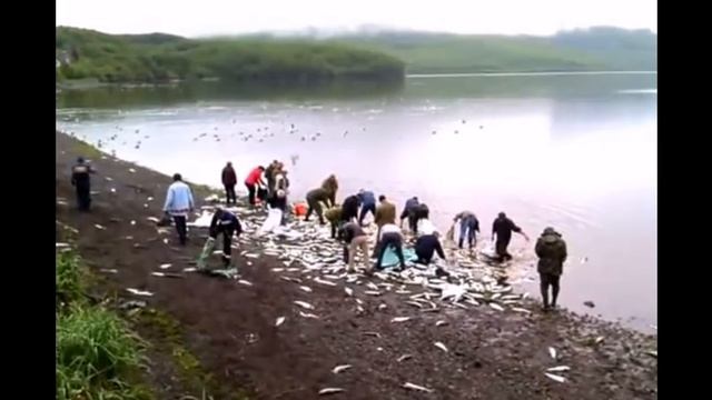 Браконьеры