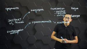 Применение ферментов в медицине, химии и промышленности. 11 класс.