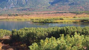 Охота и Рыбалка на Чукотке