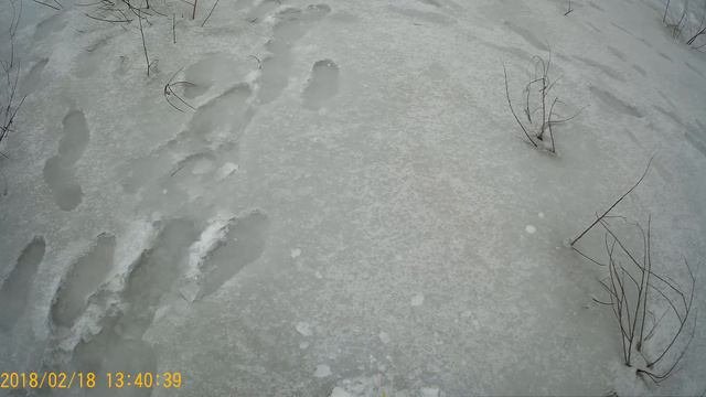 Зимняя ловля плотвы и красноперки в период уходящего февральского льда!