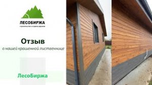 Отзыв о крашенном планкене из лиственницы