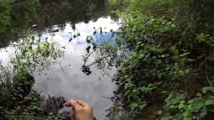 Рыбалка с рогаткой.НЕ ТАК ВСЕ ПРОСТО!!!     первый выход с РОГАТКОЙ ДЛЯ РЫБАЛКИ!первые впечатления.