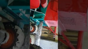 переработка Ёлки в опилку 6 м меньше минуты