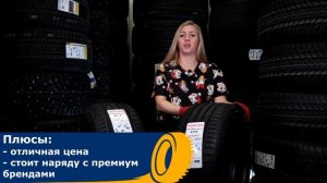 Новинка 2020 по цене 4500 рублей / Сравниваем шины Maxxis VS 5 и Winrun R330