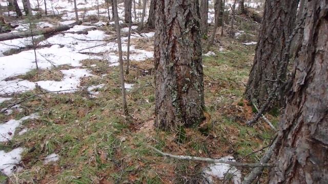 Вспомогательные способы ориентирования. Часть 18