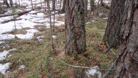 Вспомогательные способы ориентирования. Часть 18