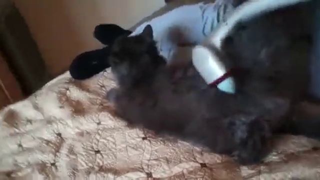 Массажер медицинский Nozomi модель МН-102. смотреть онлайн