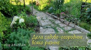 Дела садово-огородные, всяко разные | Vlog Дача как есть 24.07.2024