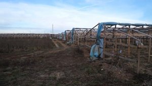 Дешевая китайская теплица. Теплица своими руками.