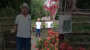 Renner Rosero GARCIA