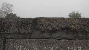 любовь земная