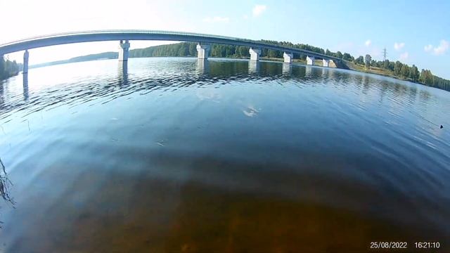 Поймал зеркального карпа ? смотреть онлайн