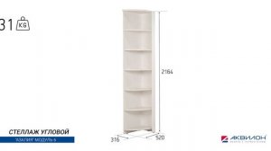 Угловой стеллаж Азалия (модуль 6)