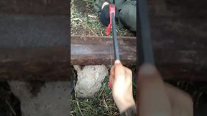 Пилим рельсу ножовкой по металлу!
