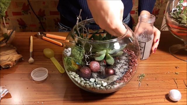 DIY Мастер класс Новогодние флорариумы