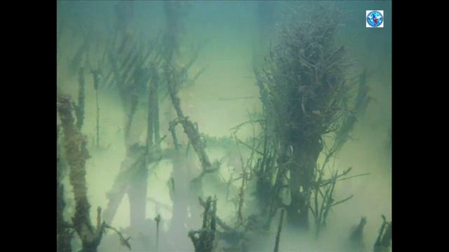 Подводный туман Акжара